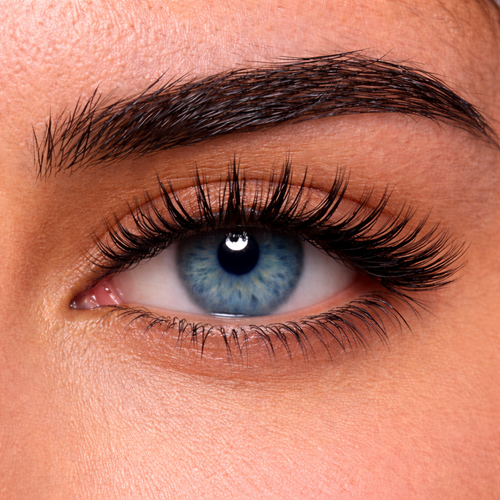 Everyday – Magnetic Lash Kit | Nayra™